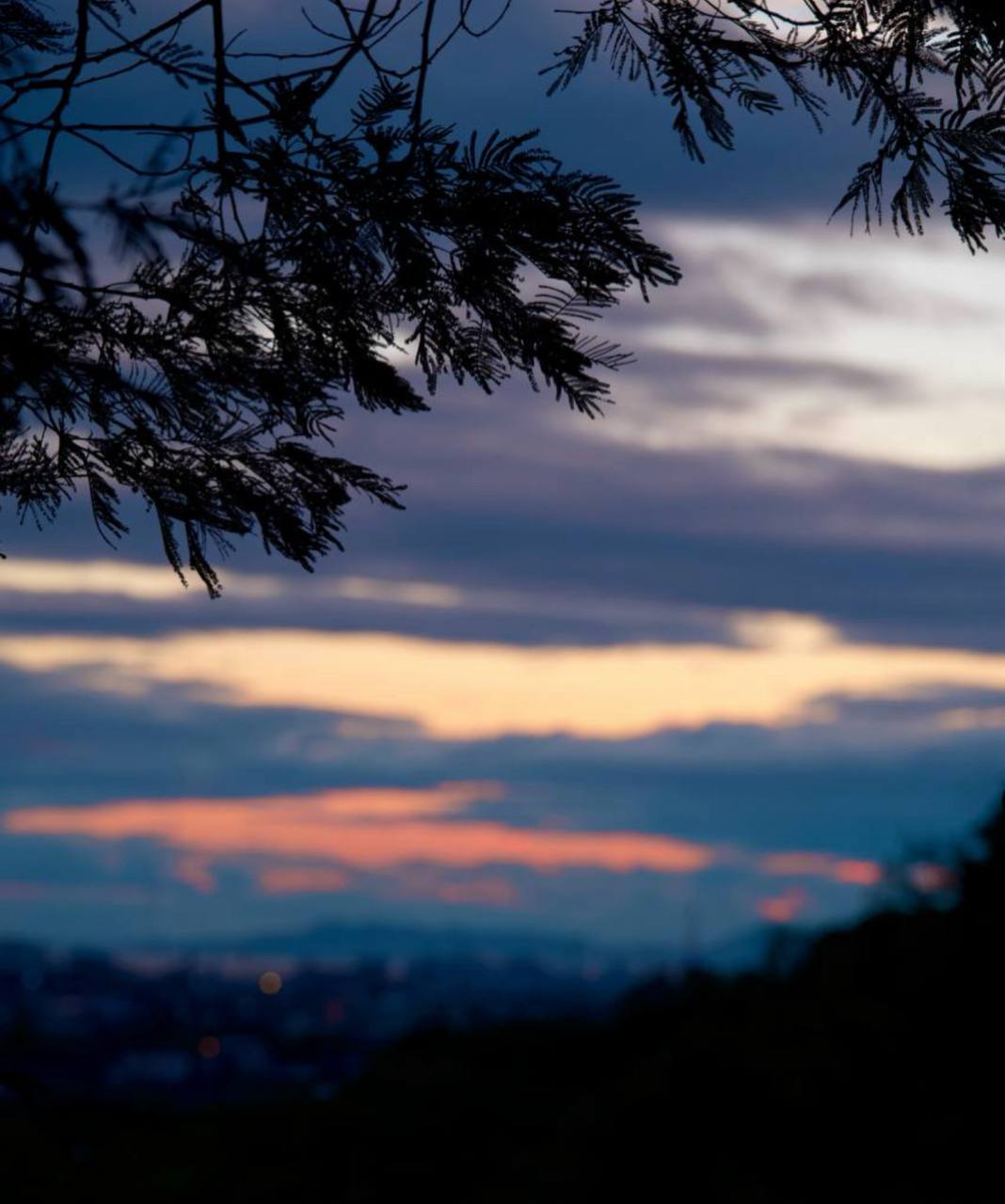 sunset glow