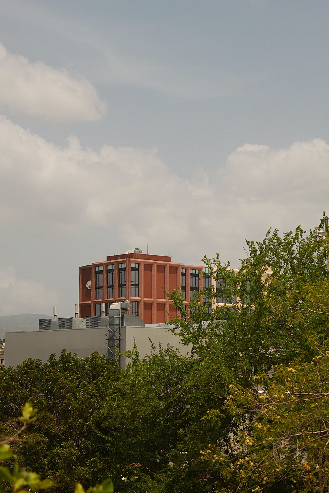 naturaleza en la ciudad