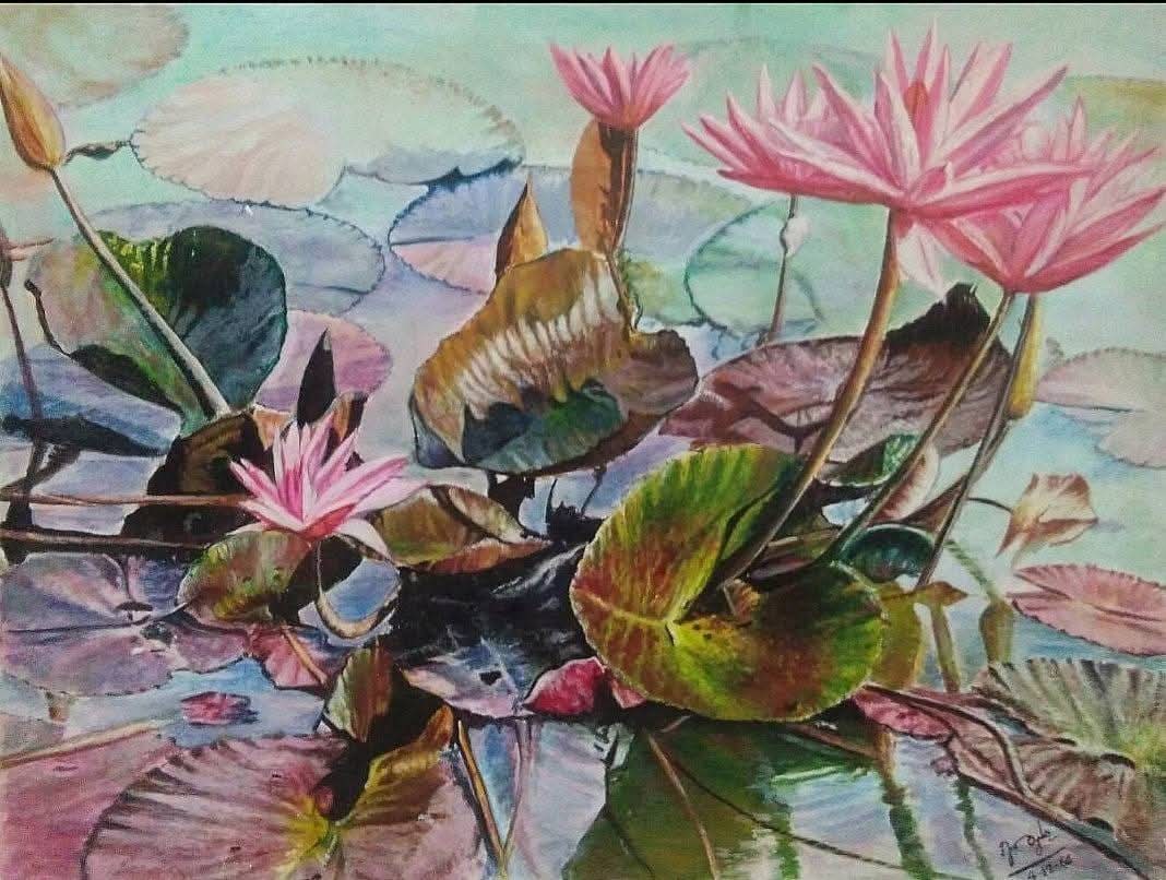 lotus  Flower