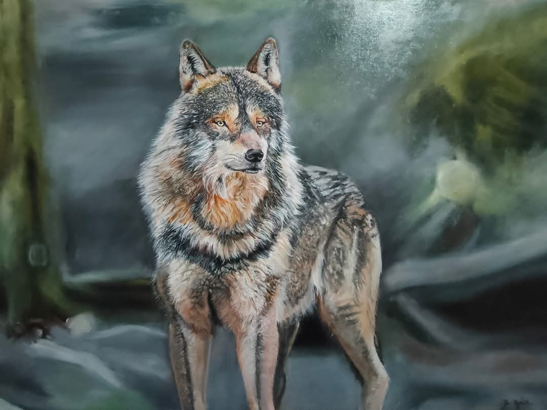 The Wolf of the Jungle