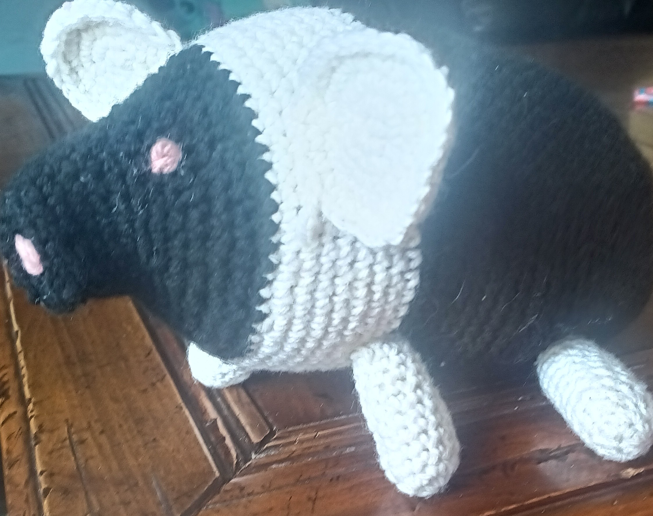 Farm pig