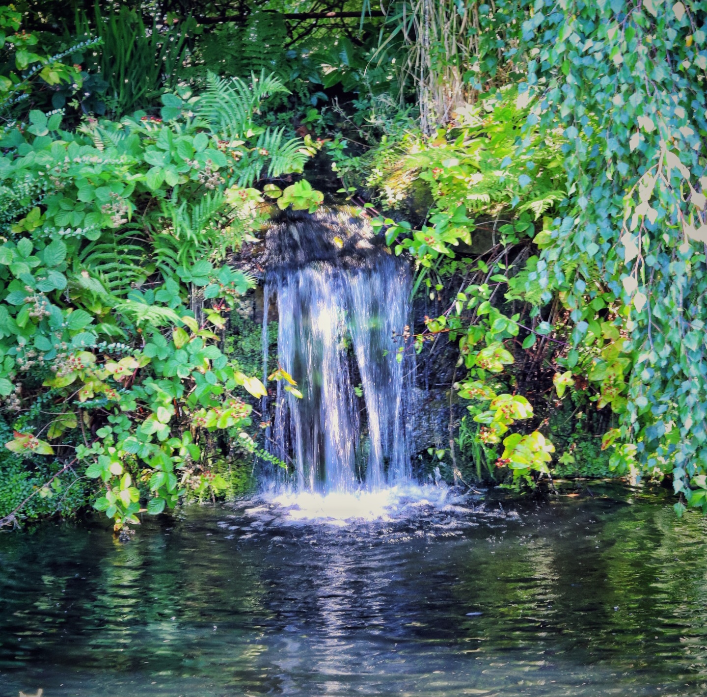 Waterfall