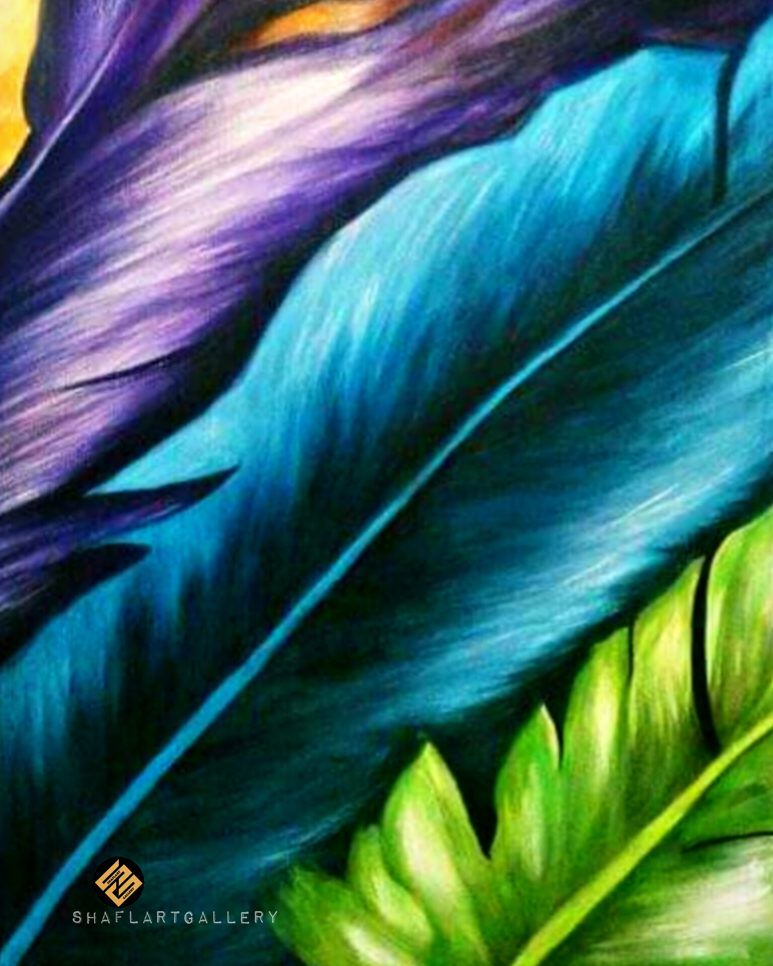 Feathers