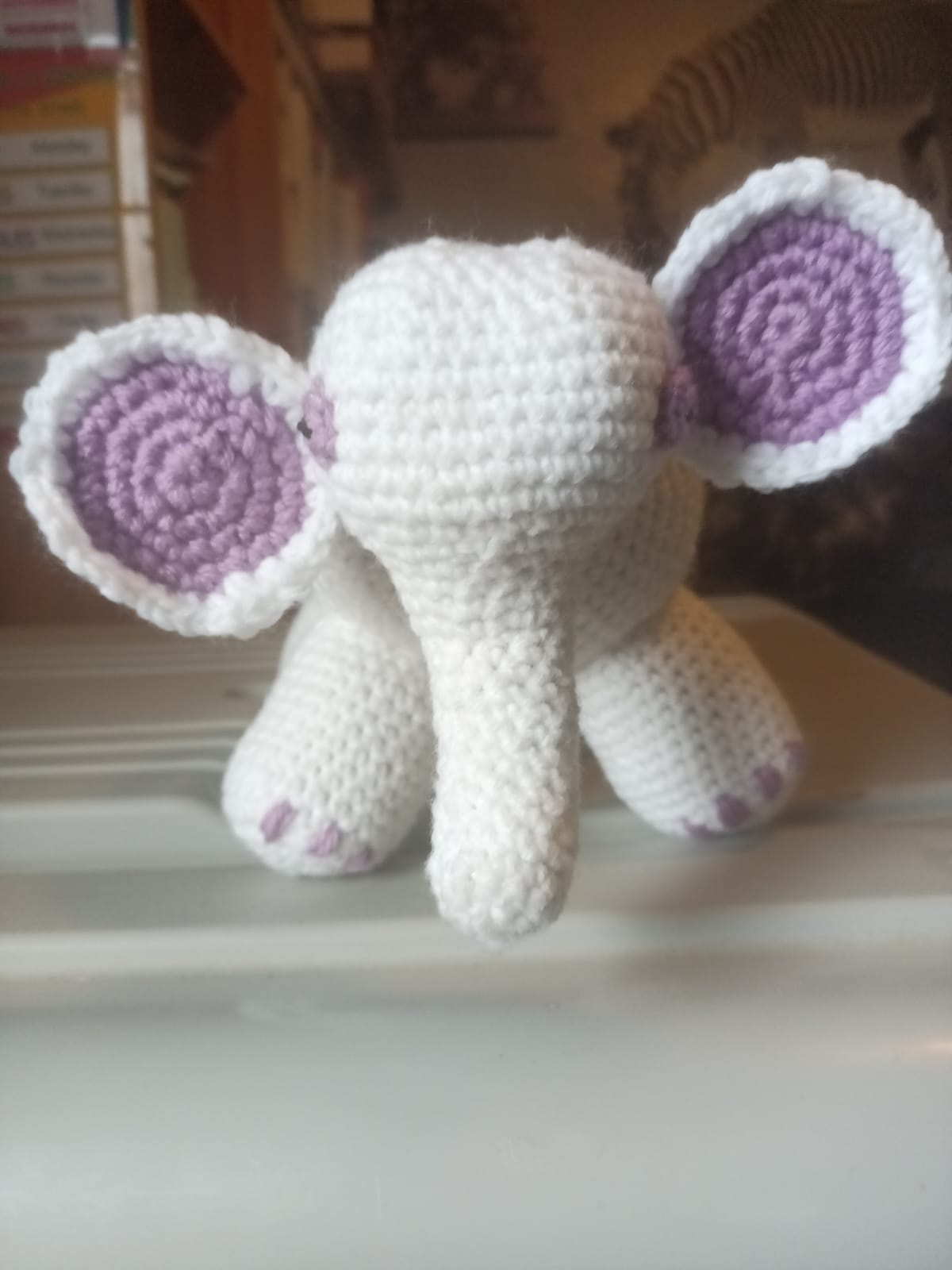 Baby elephant