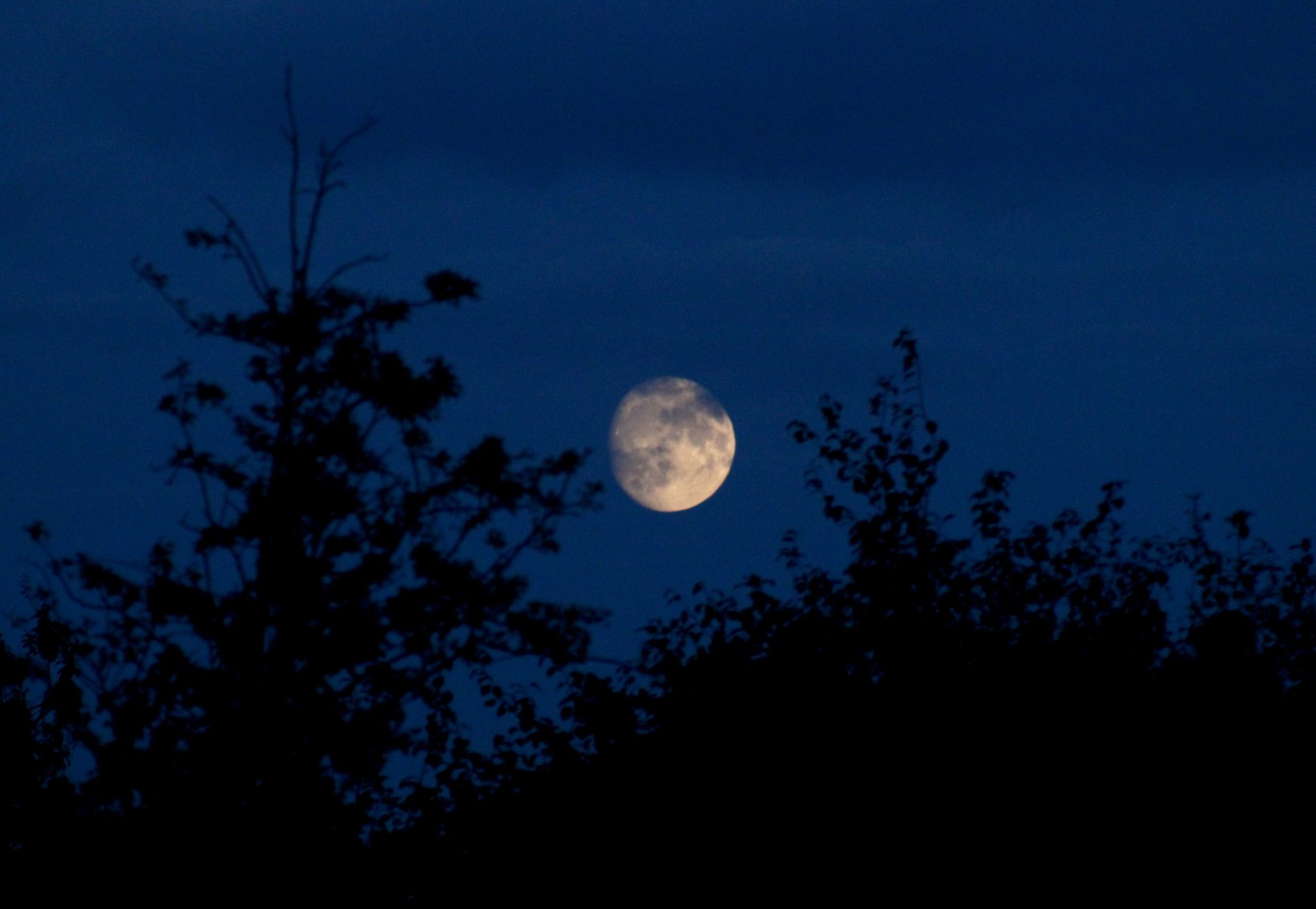Dylan Photo - Moon