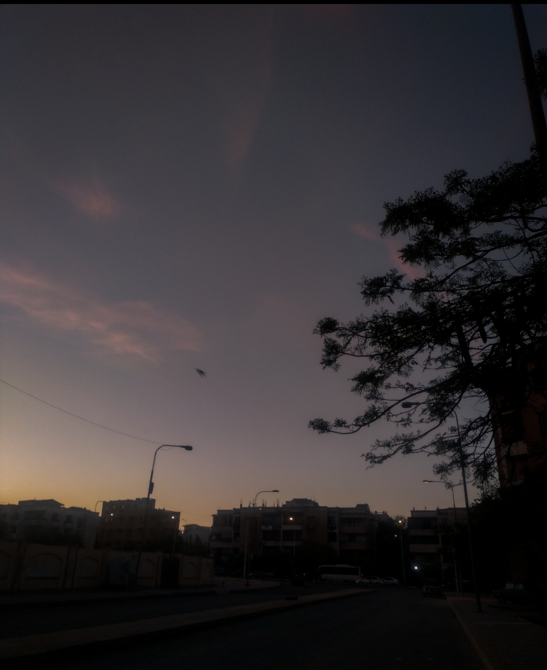 The last days of the city